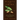 Plants and Crime: A Green Mystique Forensic Mystery Companion