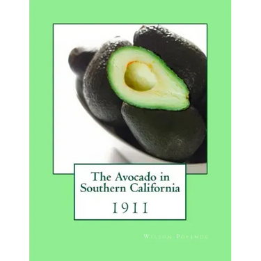 The Avocado in Southern California: 1911