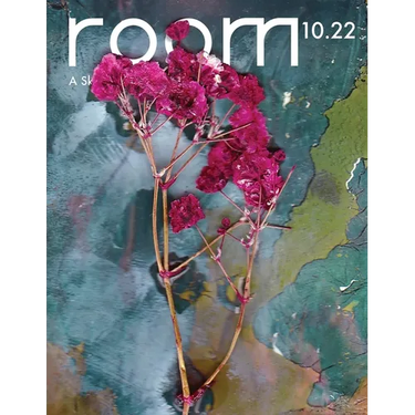 ROOM: A Sketchbook for Analytic Action 10.22