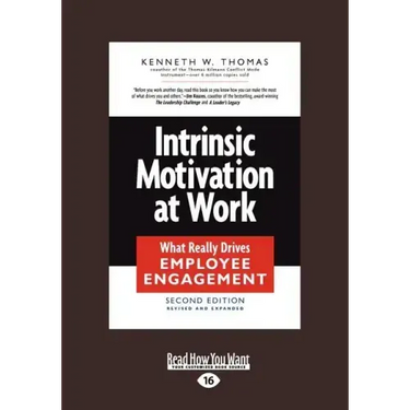 Intrinsic Motivation at Work: What Really Drives Employee Engagement (Large Print 16pt)