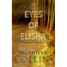 Eyes Of Elisha