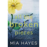 All The Broken Pieces