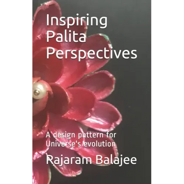 Inspiring Palita Perspectives: A design pattern for evolution