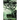 Twisted Peace Colors Hidden in Shadow: Plus the First Six Chapters of Cain the First Drop