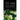 U.S. Army Ranger Handbook