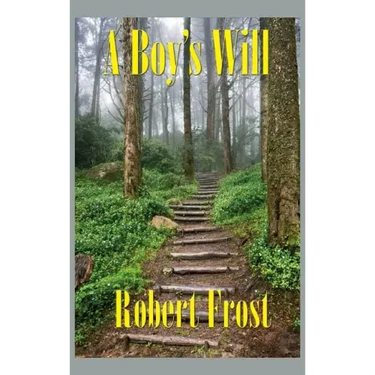 A Boy's Will