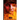 Djinn: An Extreme Horror Novel