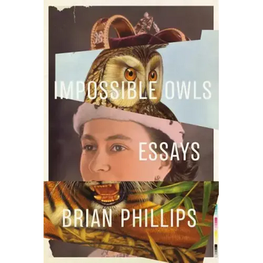 Impossible Owls: Essays