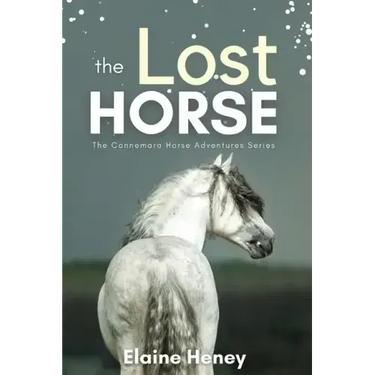 The Lost Horse - Book 6 in the Connemara Horse Adventure Series for Kids
