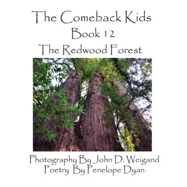 The Comeback Kids, Book 12, the Redwood Forest