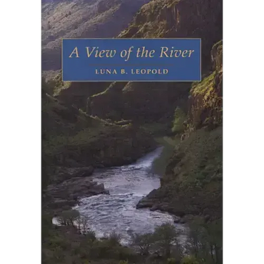A View of the River