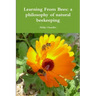 Learning From Bees: A Philosophy Of Natural Beekeeping