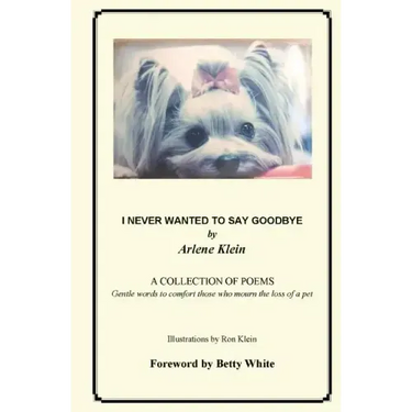 I Never Wanted To Say Goodbye