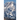 Light of the Andes