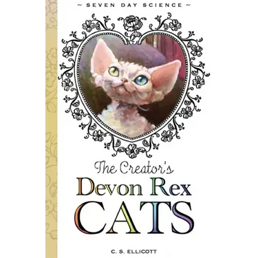 The Creator's Devon Rex Cats