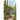 Death in a Desert Garden