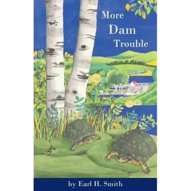 More Dam Trouble