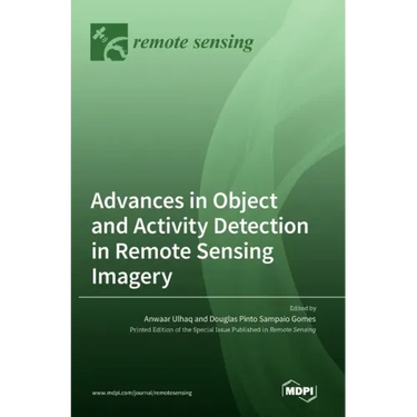 Advances in Object and Activity Detection in Remote Sensing Imagery