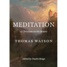 Meditation: A Christian on the Mount