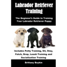 Labrador Retriever Training: The Beginner's Guide to Training Your Labrador Retriever Puppy: Includes Potty Training, Sit, Stay, Fetch, Drop, Leash