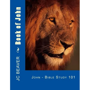 Book of John: Bible Study 101