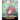 Happy Birthday, Dragon!: Celebrate The Perfect Birthday For Your Dragon. A Cute and Fun Children Story To Teach Kids To Celebrate Birthday.