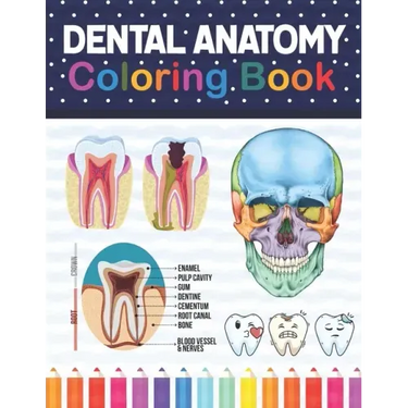 Dental Anatomy Coloring Book: Learn the Basics of Dental Anatomy. Dental Anatomy Coloring Book for Cute Children's, Kids, Boys, Girls, Dental Assistan