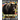 The Big Bear Book: Interesting Facts About Bears