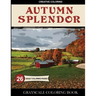 Autumn Splendor Grayscale Coloring Book