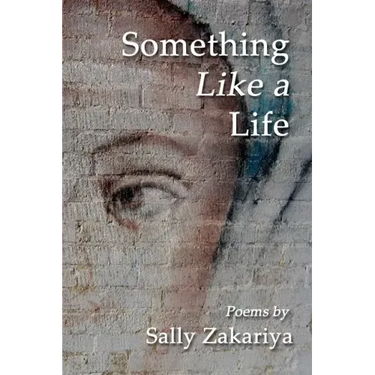 Something Like a Life