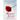 Romeo and Juliet Translated into Modern English: The most accurate line-by-line translation available, alongside original English, stage directions an