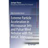 Extreme Particle Acceleration in Microquasar Jets and Pulsar Wind Nebulae with the Magic Telescopes