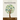 Global Environmental Politics: Concepts, Theories and Case Studies