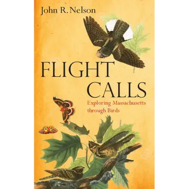 Flight Calls: Exploring Massachusetts Through Birds