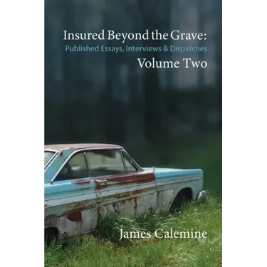 Insured Beyond the Grave: Published Essays, Interviews & Dispatches Volume Two