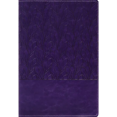 Amplified Holy Bible, Large Print, Leathersoft, Purple: Captures the Full Meaning Behind the Original Greek and Hebrew