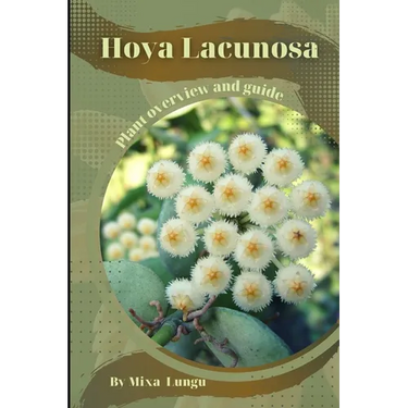 Hoya Lacunosa: Plant overview and guide