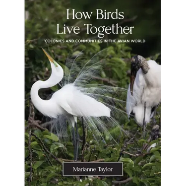How Birds Live Together: Colonies and Communities in the Avian World