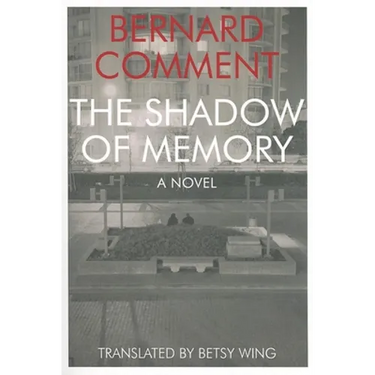 Shadow of Memory