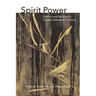 Spirit Power: Politics and Religion in Korea's American Century