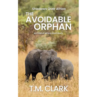 The Avoidable Orphan: a Child of Africa Story