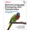 Natural Language Processing with Transformers, Revised Edition