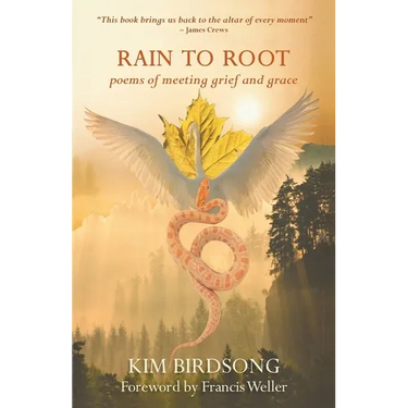 Rain to Root: poems of meeting grief and grace
