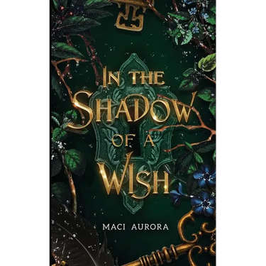 In the Shadow of a Wish: A Fareview Fairytale, Book 1