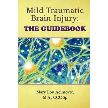 Mild Traumatic Brain Injury: The Guidebook