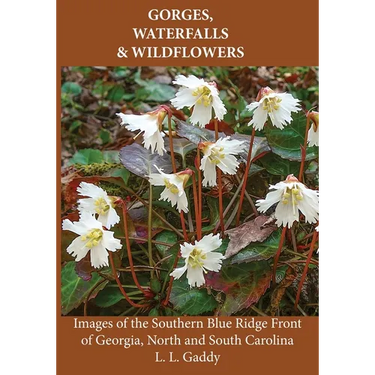 Gorges, Waterfalls, and Wildflowers