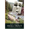Small Trout: Fly Fishing That Matters