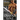 Rogue Belador: Belador Book 7