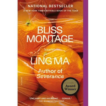Bliss Montage: Stories