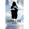 A Small Fire